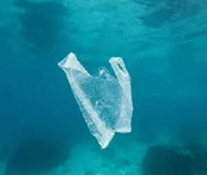 隨著疫情限（xiàn）製措施的放鬆，廢塑料熱解項目重（chóng）新啟動