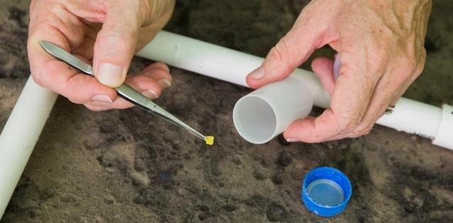 土壤中的塑料對（duì）糧食安全、健康和環境構成威脅