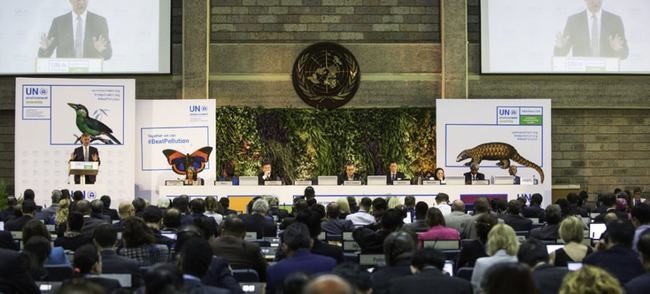 聯合國（guó）環境大會：建立（lì）首個應對塑料汙染的全球（qiú）條約