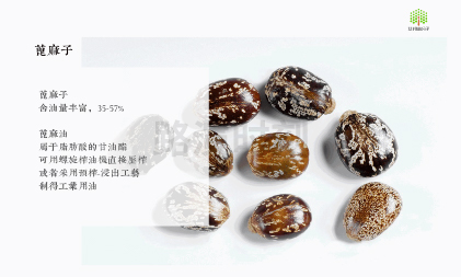 特種高溫尼龍市場需求持（chí）續攀升，細分賽道國產替代逐步推進