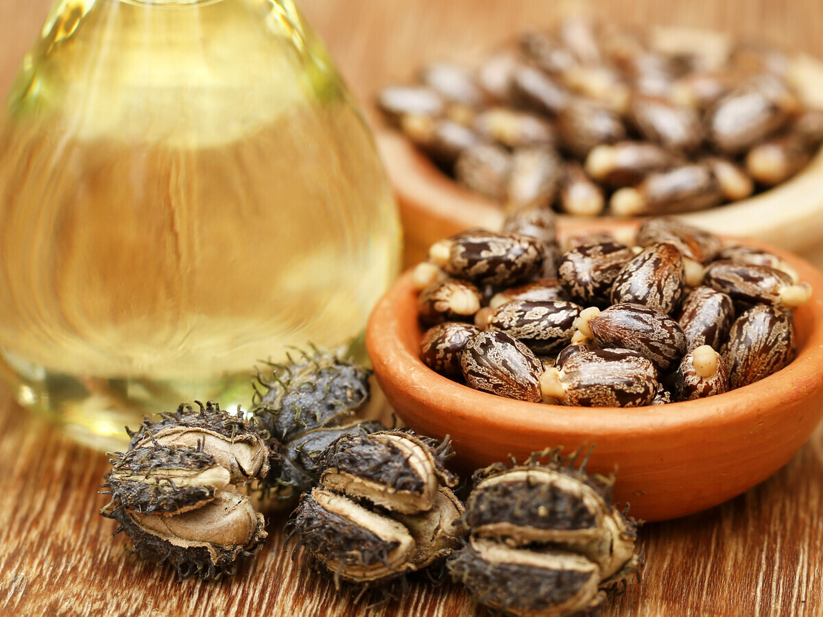 阿科瑪的（de）先進生物基材料獲得（dé）認證