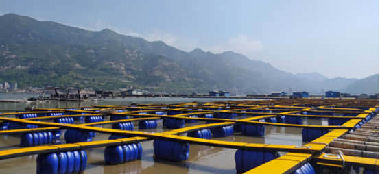 巴斯夫光穩定（dìng）劑為中（zhōng）國水（shuǐ）產（chǎn）養殖打造經久耐用的漁排