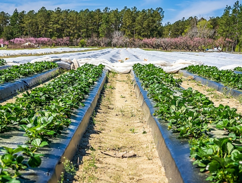 利安德巴塞爾與AFA Nord合資成立新公（gōng）司（sī），促進二次塑料包裝的循環利用