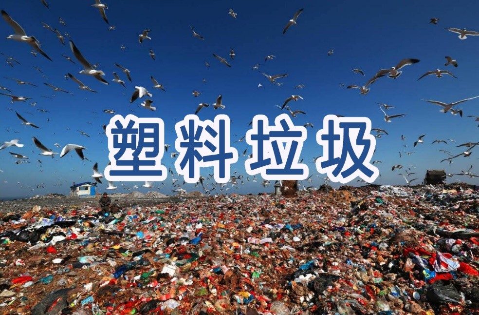 美報告：美（měi）國（guó）是全球最大塑（sù）料垃圾製（zhì）造（zào）者  提出解決（jué）塑料垃圾問題的建議