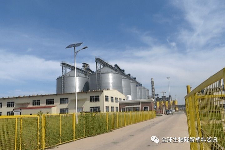 中國丙交酯生產技術破冰，但與國際先進水平仍有較大差（chà）距