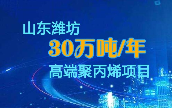 十建濰坊聚（jù）丙烯項目（mù）全力衝（chōng）刺保中交