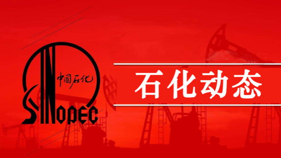 第（dì）三代國產芳烴技術首套裝置中交