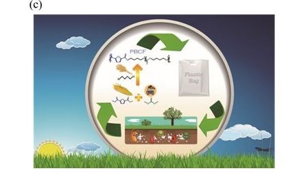 西南將建造大型聚乳酸改性新材料及製品生產（chǎn）基地（dì）