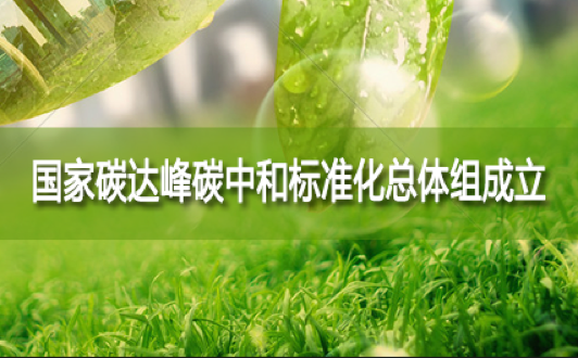 國家碳達峰碳中和（hé）標（biāo）準化（huà）總體組成立